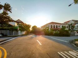 Yong Seng Estate (D14), Terrace #486647191